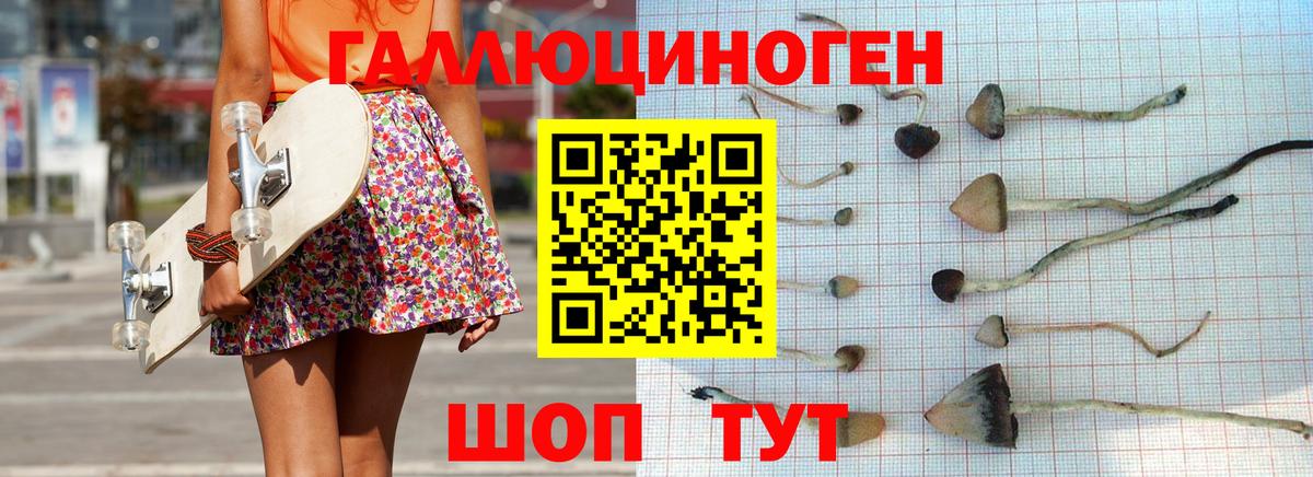 что такое   Вход с VPN  Грязи  Псилоцибиновые грибы мицелий 