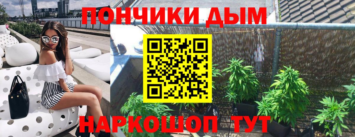 Шишки марихуана MAZAR Грязи